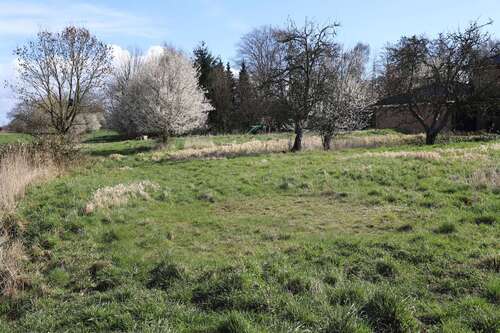 Foto - Grundstück zu verkaufen in Seester 295.000,00 € 1017 m²