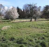 Grundstück zu verkaufen in Seester 295.000,00 € 1017 m²