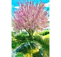 Haus zum Kaufen in Göppingen 645.000,00 € 250 m²