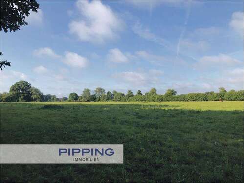 Foto - Grundstück in Klein Pampau 395.000,00 € 42560 m²