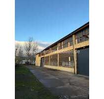 Spezialgewerbe in Halle 8.000,00 € 2000 m²