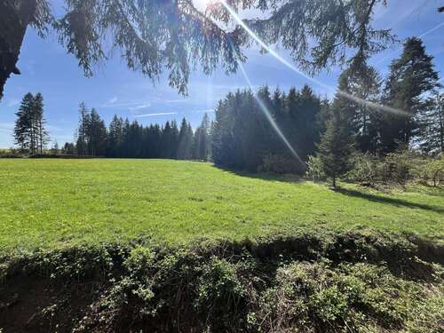 Foto - Grundstück zu verkaufen in Roßhaupten 28.000,00 € 3340 m²