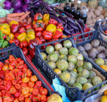 Einzelhandel in Berlin 7.735,00 € 521 m²