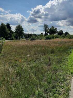 Foto - Grundstück zu verkaufen in Friedland 82.990,00 € 1065 m²
