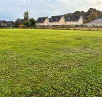 Grundstück in Windeck-Obernau 29.000,00 € 2282 m²