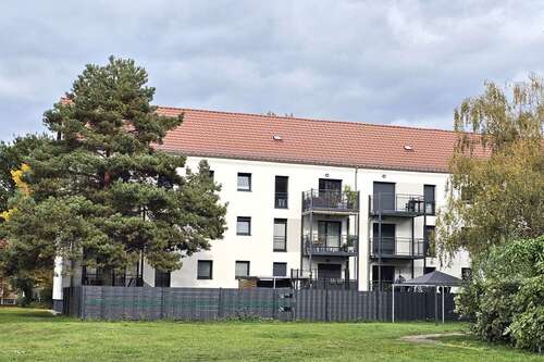 Foto - Wohnung zum Mieten in Bitterfeld 530,00 € 56 m²