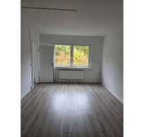 Wohnung zum Mieten in Schwerin 354,00 € 51 m²