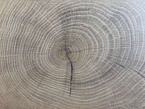 Foto - Haus zum Kaufen in Dülmen 588.407,00 € 152.34 m²