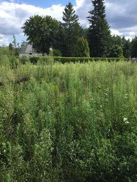 Foto - Grundstück zu verkaufen in Hoppegarten 199.999,00 € 485 m²