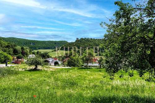 Foto - Grundstück zu verkaufen in Wiesenttal 849.000,00 € 2130 m²