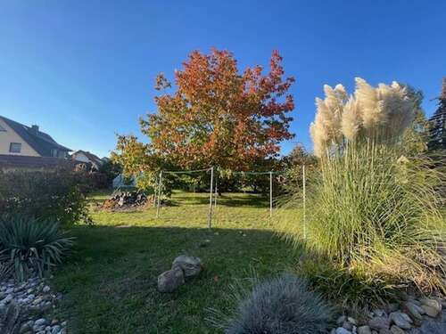 Foto - Haus zum Kaufen in Grimma 498.000,00 € 148.16 m²