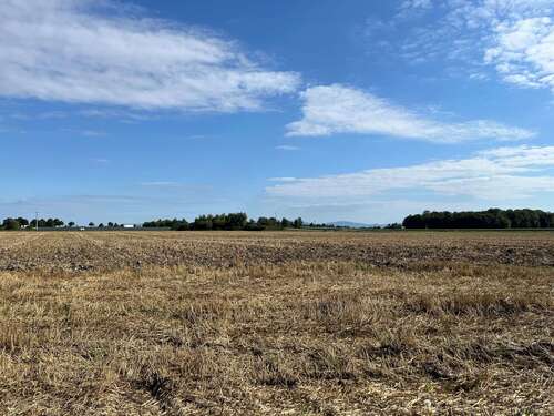 Foto - Spezialgewerbe in Wallersdorf 350.000,00 €