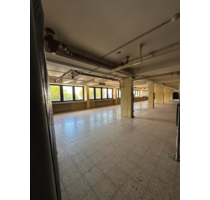 Halle in Düsseldorf 980,00 € 214 m²
