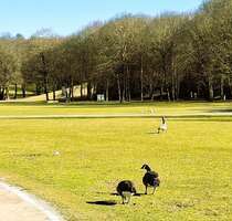 Wohnung zum Kaufen in München 569.000,00 € 79.5 m²