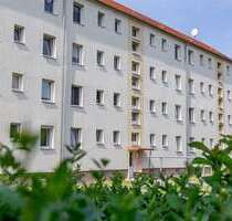 Wohnung zum Mieten in Groitzsch 370,00 € 59.8 m²