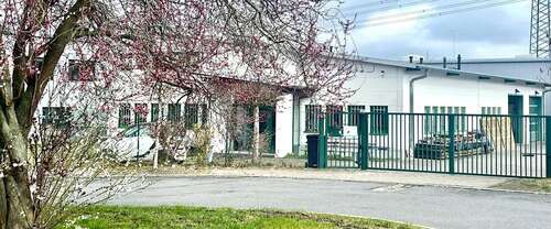 Foto - Halle in Mühlenbeck 999.000,00 € 304.67 m²
