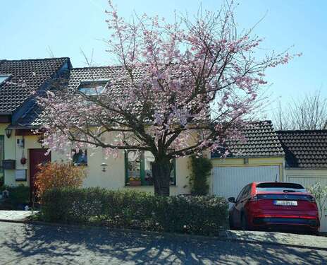 Foto - Haus zum Kaufen in Leverkusen 559.000,00 € 131 m²