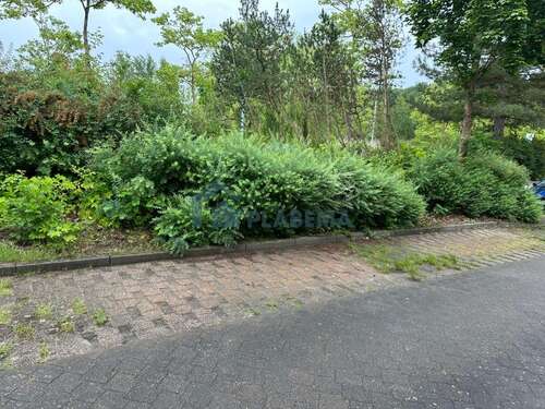 Foto - Garage zu vermieten in Neubrandenburg 43,00 €