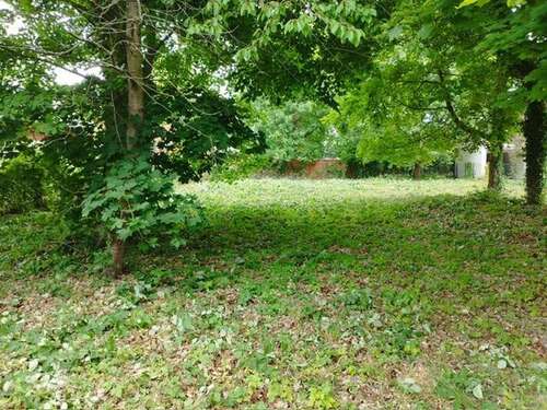 Foto - Grundstück zu verkaufen in Potsdam 810.000,00 € 702 m²