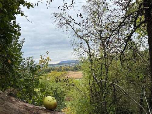 Foto - Grundstück zu verkaufen in uhingen 89.000,00 € 6003 m²