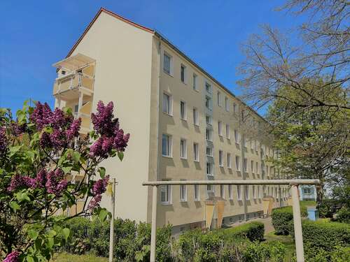 Foto - Wohnung zum Mieten in Wurzen 390,00 € 60.45 m²