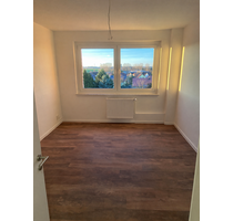 Wohnung zum Mieten in Zörbig 525,00 € 59 m²