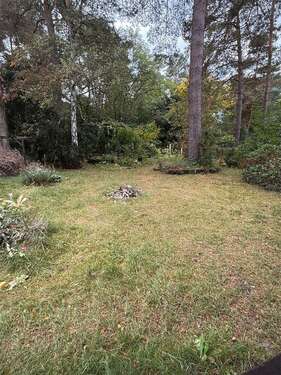 Foto - Grundstück zu verkaufen in Zühlsdorf 330.000,00 € 1200 m²