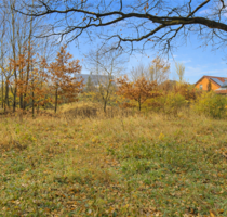 Grundstück zu verkaufen in Kremmen 238.000,00 € 968 m²