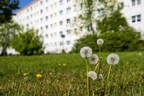 Foto - Wohnung zum Mieten in Halle (Saale) 660,00 € 104.37 m²