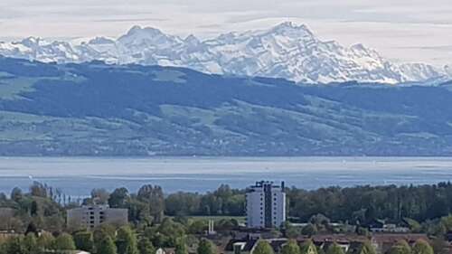Foto - Wohnung zum Mieten in Langenargen 1.250,00 € 75 m²