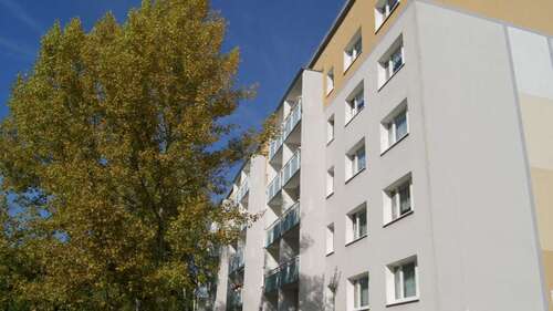 Foto - Wohnung zum Mieten in Zeitz 303,00 € 60.54 m²