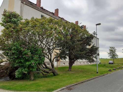 Foto - Wohnung zum Mieten in Döbeln 660,00 € 120 m²