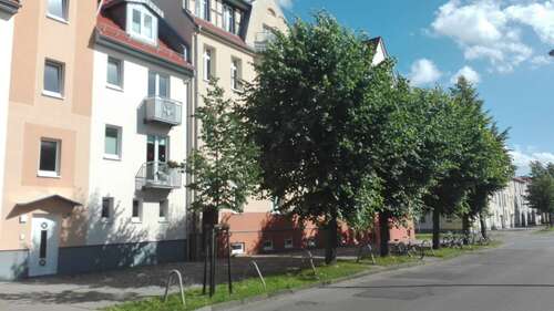 Foto - Wohnung zum Mieten in Greifswald 798,00 € 77 m²
