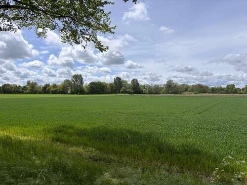 Foto - Grundstück in Ismaning 576.125,00 € 4609 m²