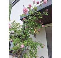 Wohnung zum Mieten in Baiersbronn 685,00 € 80 m²