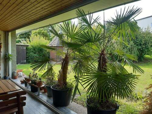 Foto - Haus zum Kaufen in Karlsruhe 750.000,00 € 168 m²