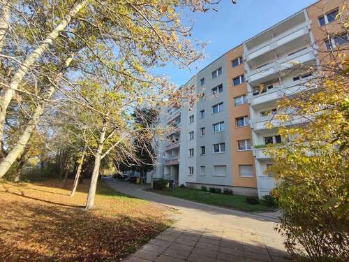 Foto - Wohnung zum Mieten in Halle (Saale) 256,00 € 41.19 m²