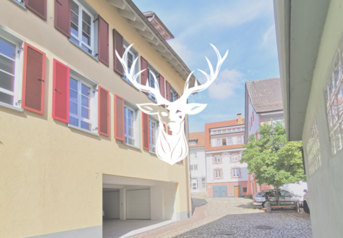 Foto - Wohnung zum Mieten in Waldshut- Tiengen 1.200,00 € 105 m²