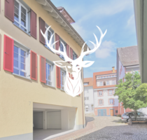 Wohnung zum Mieten in Waldshut- Tiengen 1.200,00 € 105 m²