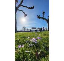 Halle in Langenargen 2.200.000,00 € 1250 m²