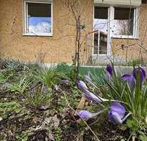 Wohnung zum Mieten in Frankfurt (Oder) 343,44 € 51.26 m²