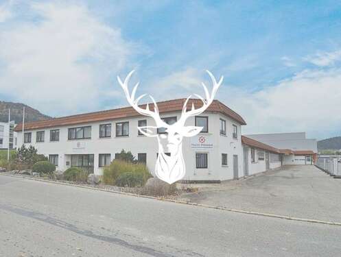 Foto - Spezialgewerbe in Wehingen 2.100.000,00 € 3133 m²