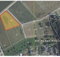 Grundstück zu verkaufen in Nidda 19.000,00 € 2300 m²