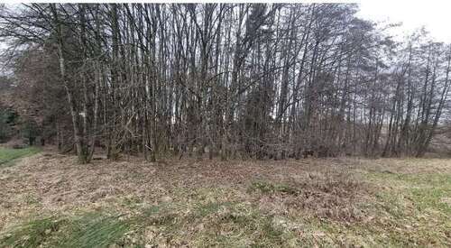 Foto - Grundstück in Windorf 26.160,00 € 4360 m²