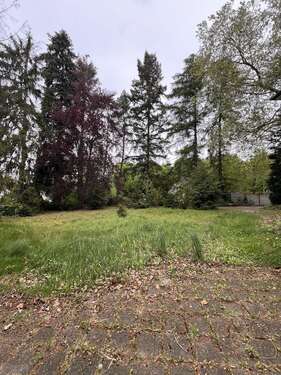 Foto - Grundstück zu verkaufen in Rheinbreitbach 1.038.000,00 € 2256 m²