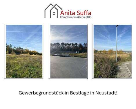 Foto - Grundstück in Neustadt a d Aisch 449.000,00 € 4763 m²