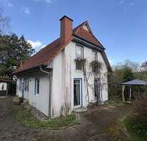 Haus zum Kaufen in Horn-Bad Meinberg 198.000,00 € 117 m²