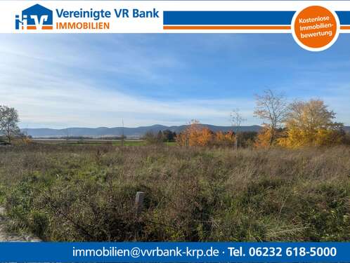 Foto - Grundstück zu verkaufen in Neustadt 487.500,00 € 650 m²