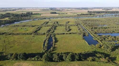 Foto - Haus zum Kaufen in Stolpe an der Peene 149.500,00 € 153 m²