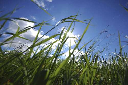 Foto - Grundstück zu verkaufen in Feldafing 650.000,00 € 545 m²